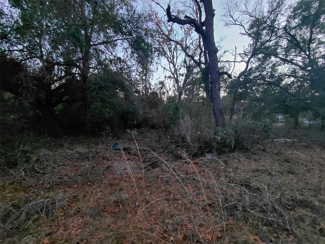 12139 RUTHERFORD LANE, Hudson, FL 34669