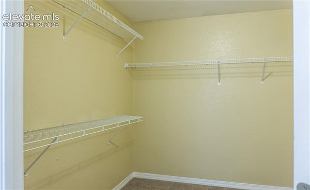 3759 Tahoe Forest Lane, Colorado Springs, CO 80925