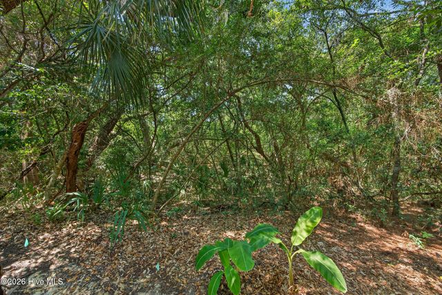 6 Clapper Rail Court, Southport, NC 28461