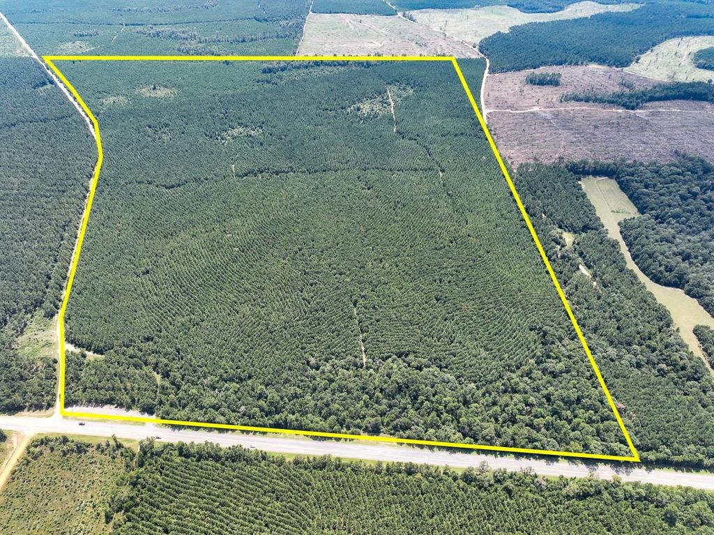 10 Highway 190, Woodville, TX 75979