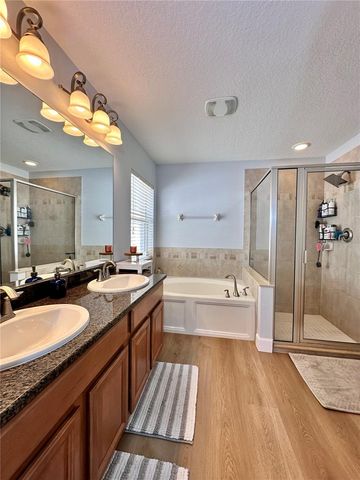 18353 HOLLAND HOUSE LOOP, Land O Lakes, FL 34638