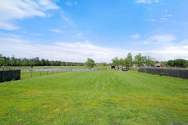 15003 La Hwy 431, Prairieville, LA 70769