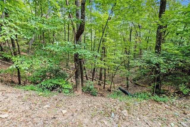 0 Woodland Court, Ellijay, GA 30536