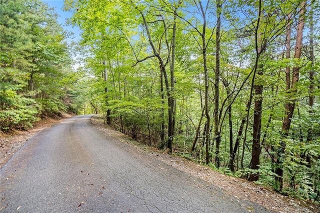 0 Woodland Court, Ellijay, GA 30536