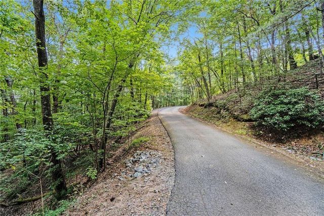 0 Woodland Court, Ellijay, GA 30536