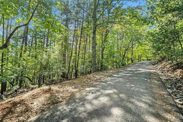 0 Woodland Court, Ellijay, GA 30536
