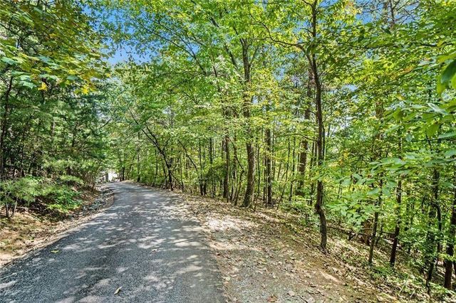 0 Woodland Court, Ellijay, GA 30536