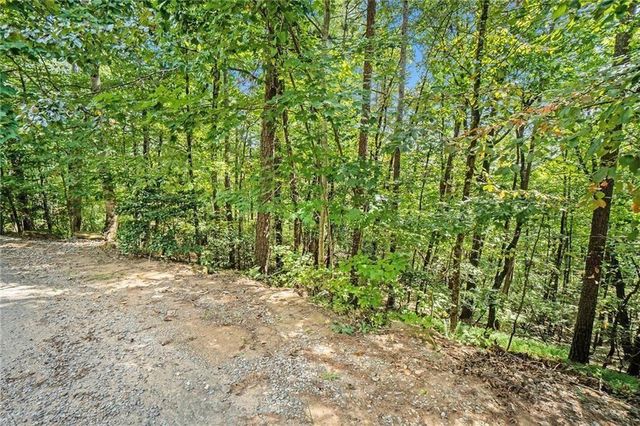 0 Woodland Court, Ellijay, GA 30536