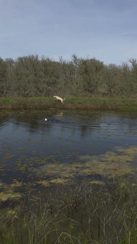 000 Oil Field RD, Lockhart, TX 78644