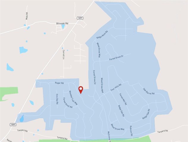 10751 Ruger Road, Willis, TX 77378