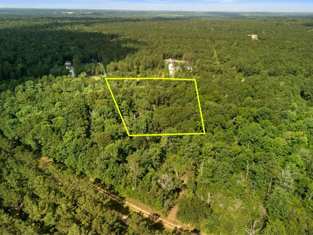 10751 Ruger Road, Willis, TX 77378