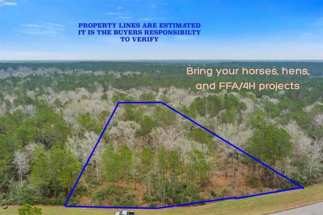 10751 Ruger Road, Willis, TX 77378