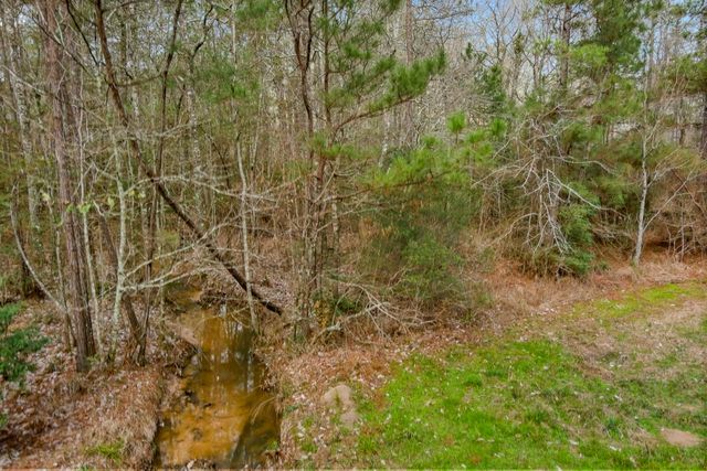 10751 Ruger Road, Willis, TX 77378