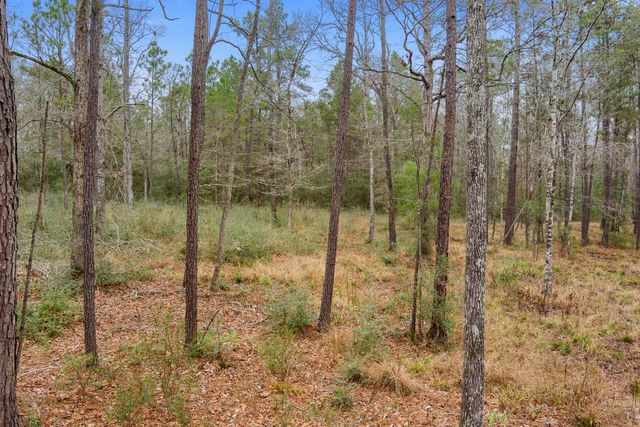 10751 Ruger Road, Willis, TX 77378