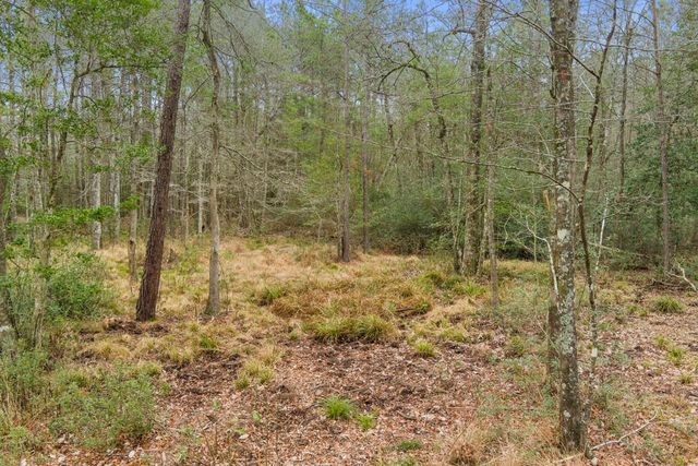 10751 Ruger Road, Willis, TX 77378