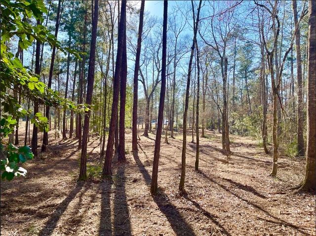 10751 Ruger Road, Willis, TX 77378