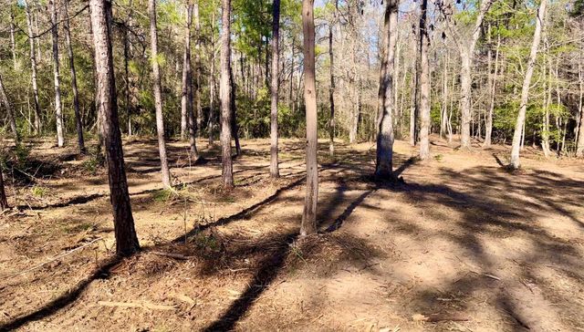 10751 Ruger Road, Willis, TX 77378