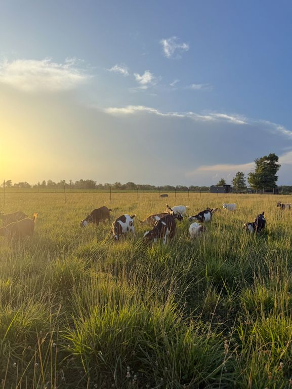 Image 42 of property listing at 4239 Seven Hills Road, Odin, IL 62870