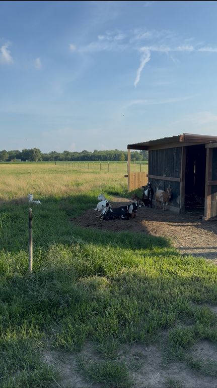 Image 44 of property listing at 4239 Seven Hills Road, Odin, IL 62870