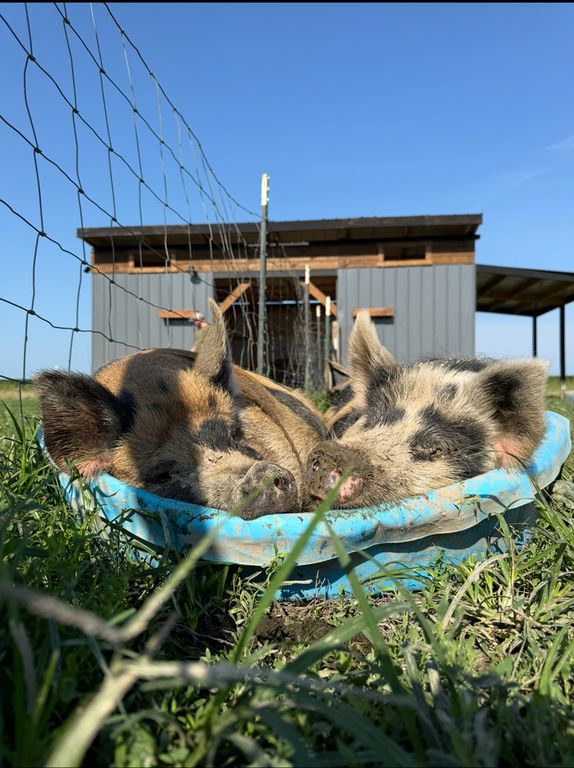 Image 47 of property listing at 4239 Seven Hills Road, Odin, IL 62870