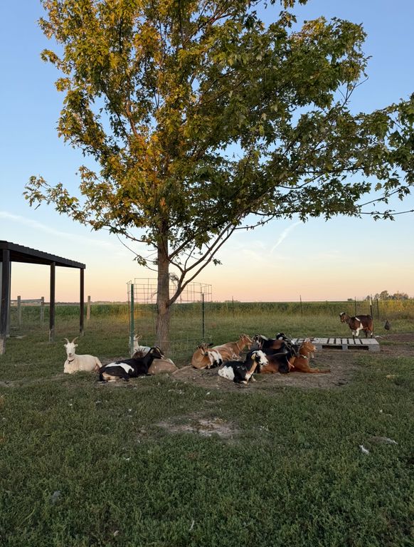 Image 48 of property listing at 4239 Seven Hills Road, Odin, IL 62870