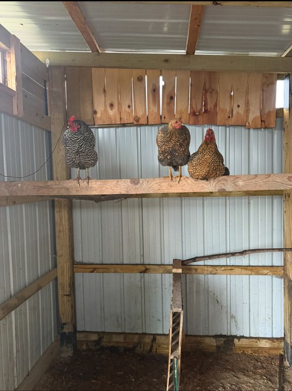 Image 49 of property listing at 4239 Seven Hills Road, Odin, IL 62870