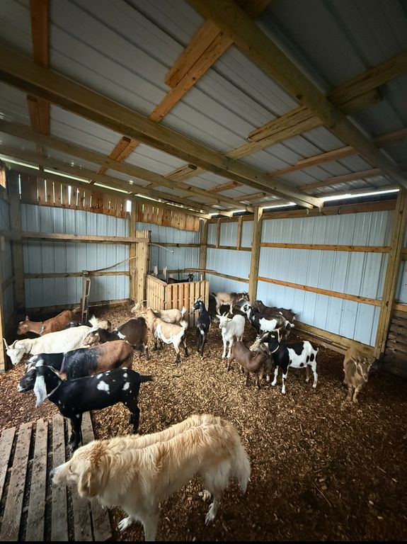 Image 51 of property listing at 4239 Seven Hills Road, Odin, IL 62870