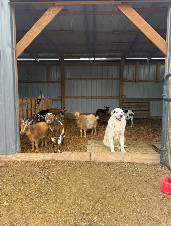 Image 53 of property listing at 4239 Seven Hills Road, Odin, IL 62870