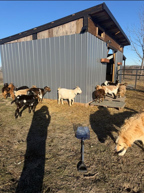 Image 56 of property listing at 4239 Seven Hills Road, Odin, IL 62870