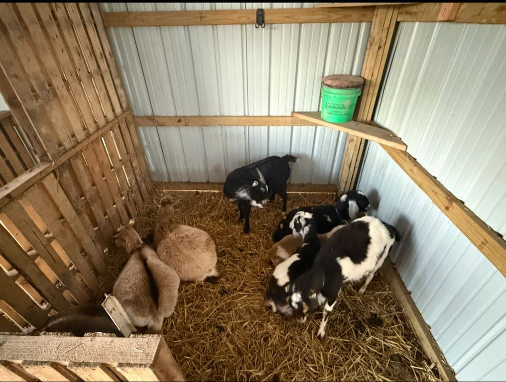 Image 58 of property listing at 4239 Seven Hills Road, Odin, IL 62870