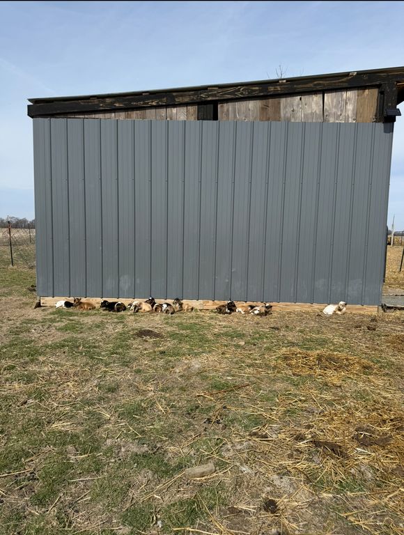 Image 60 of property listing at 4239 Seven Hills Road, Odin, IL 62870