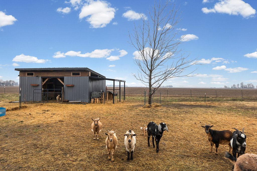 Image 9 of property listing at 4239 Seven Hills Road, Odin, IL 62870