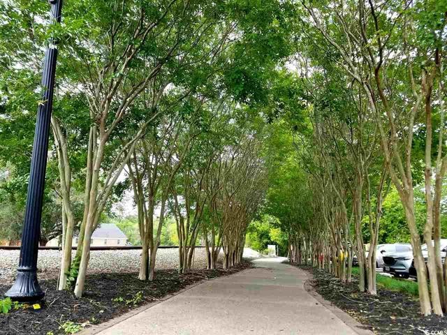 TBD Four Mile Rd., Conway, SC 29526
