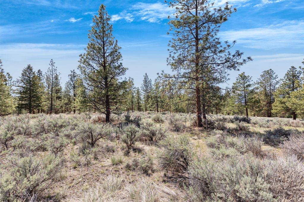 83 Mascot Trail, Hamilton, MT 59840 photo 15