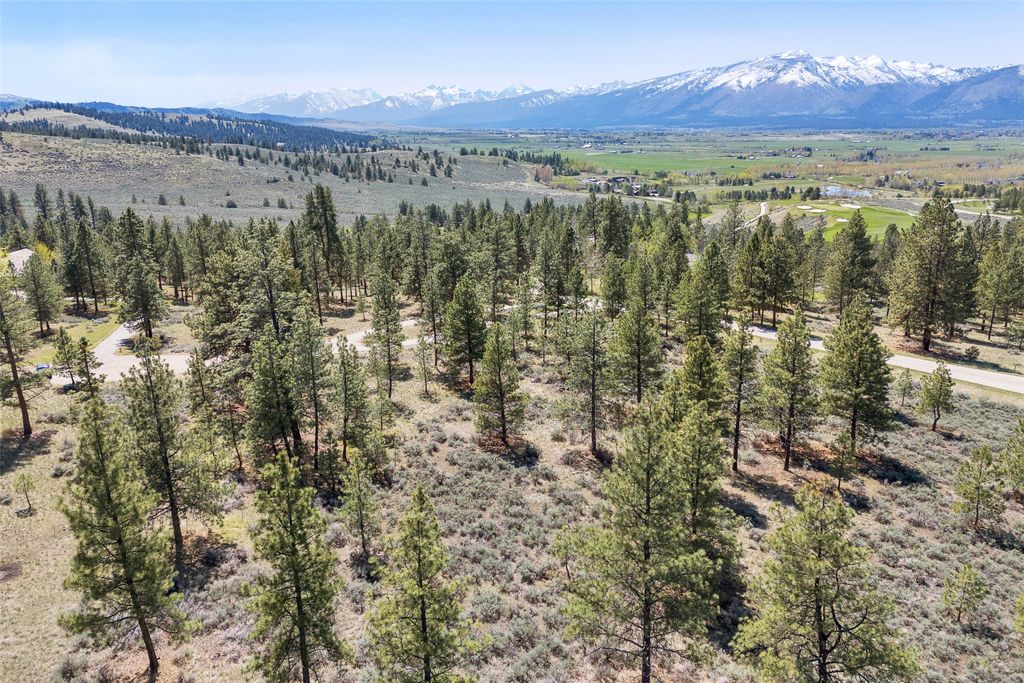 83 Mascot Trail, Hamilton, MT 59840 photo 19