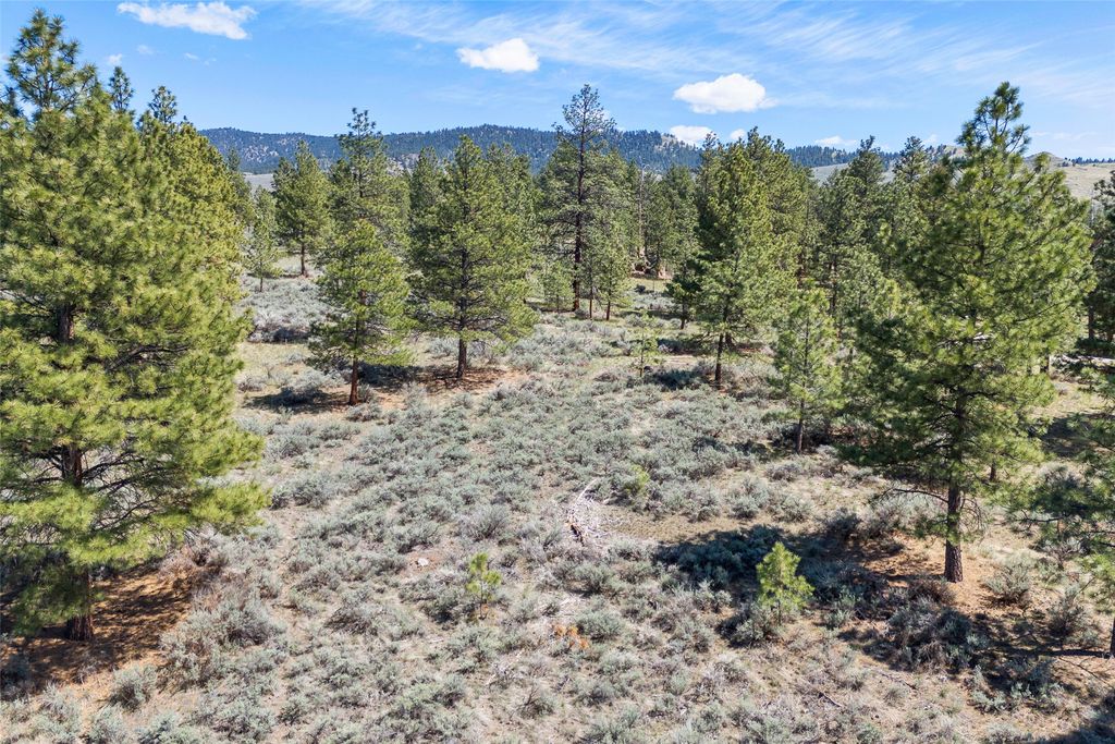 83 Mascot Trail, Hamilton, MT 59840 photo 25