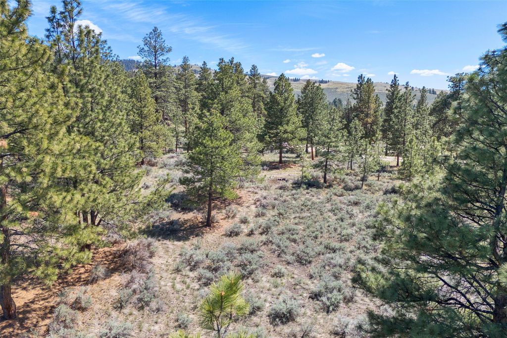 83 Mascot Trail, Hamilton, MT 59840 photo 26