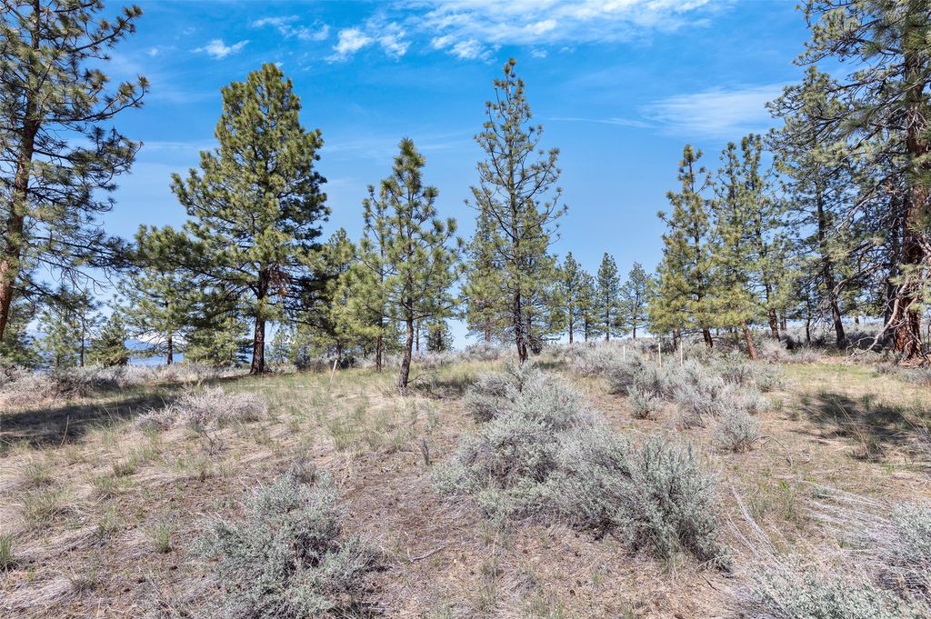 83 Mascot Trail, Hamilton, MT 59840 photo 28