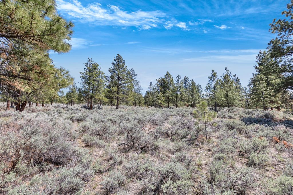 83 Mascot Trail, Hamilton, MT 59840 photo 31