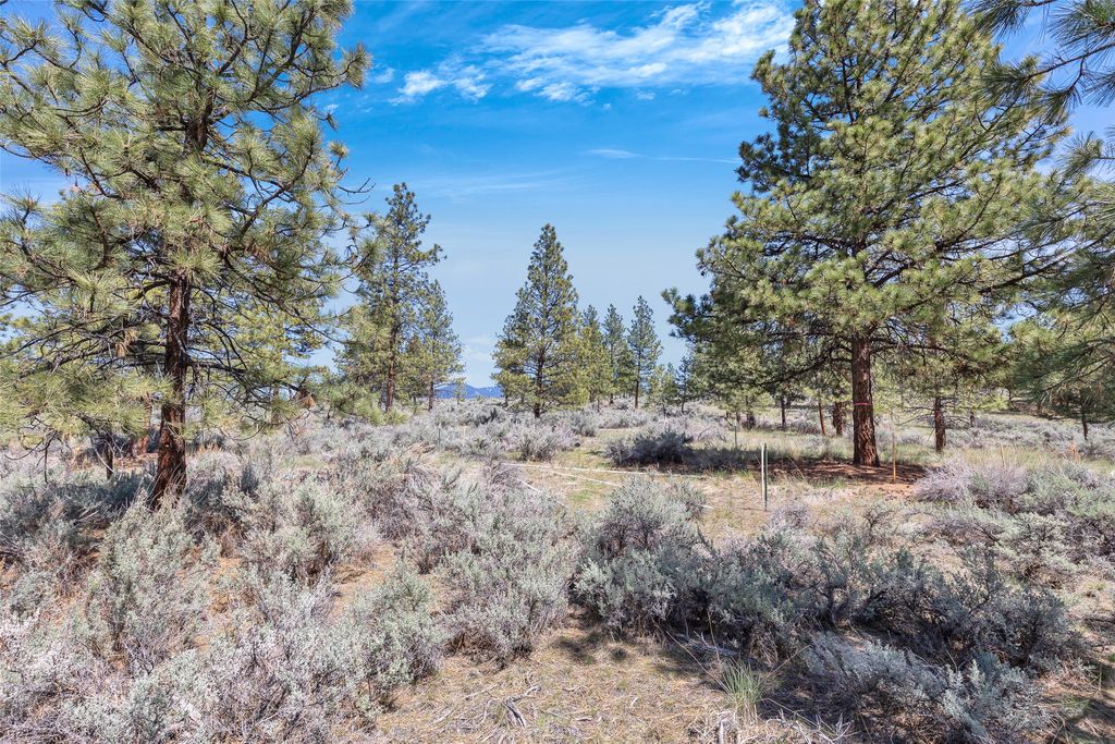 83 Mascot Trail, Hamilton, MT 59840 photo 32