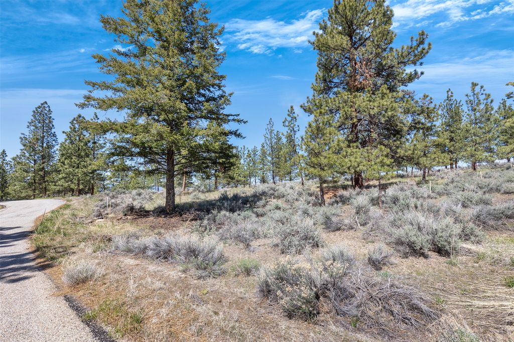 83 Mascot Trail, Hamilton, MT 59840 photo 4