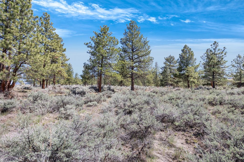 83 Mascot Trail, Hamilton, MT 59840 photo 6