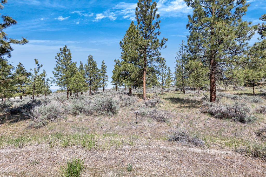 83 Mascot Trail, Hamilton, MT 59840 photo 8