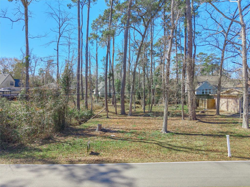 86 Hanover Lane, Conroe, TX 77304