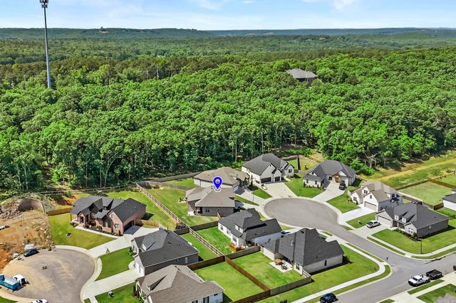 1880 Indigo Cove, Conway, AR 72034