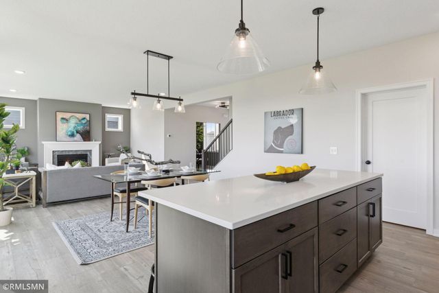 10115 Blackmoor Road, Woodbury, MN 55129