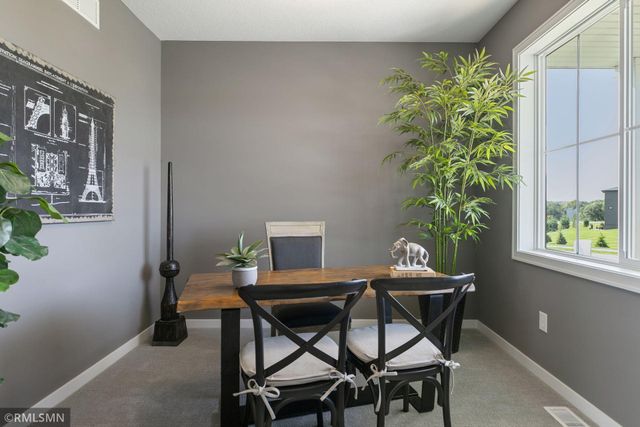 10115 Blackmoor Road, Woodbury, MN 55129