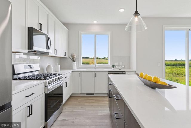 10115 Blackmoor Road, Woodbury, MN 55129