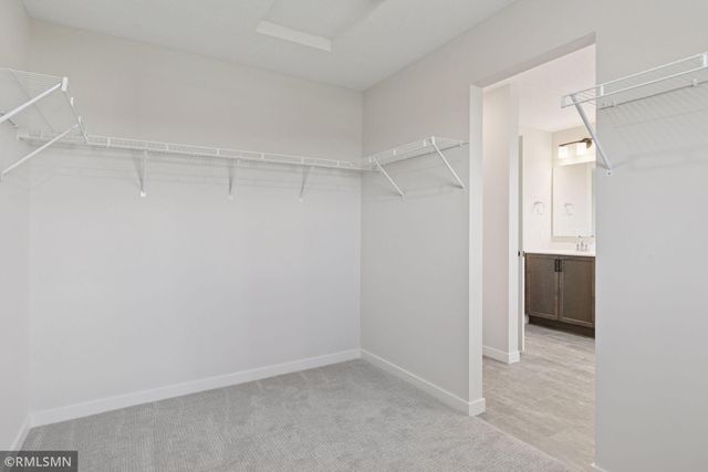 10115 Blackmoor Road, Woodbury, MN 55129