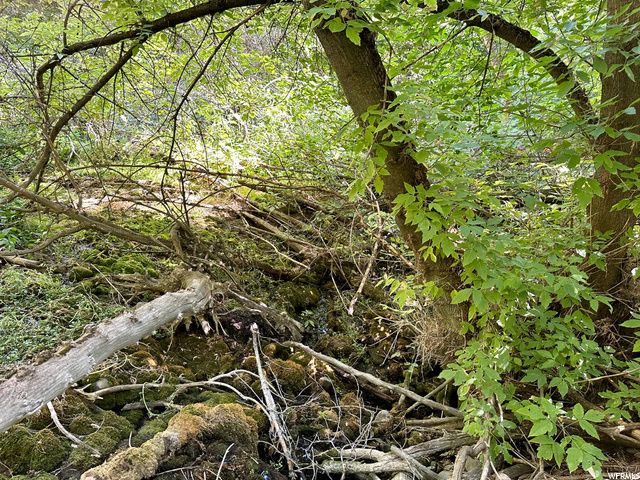 5025 S HOLLOW RD, Nibley, UT 84321